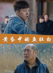 综合视频在线